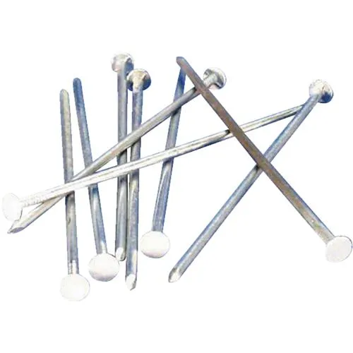 29040 Amerimax Galvanized Spike