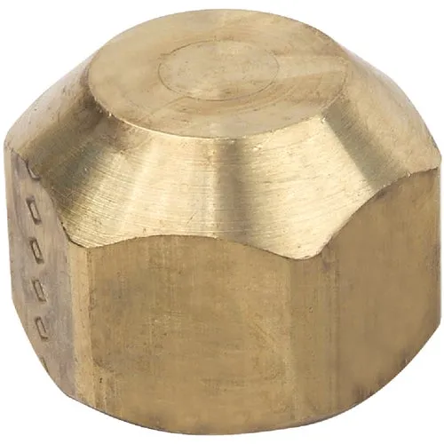 SAFETYCAP-04R Dormont Gas Flare Cap