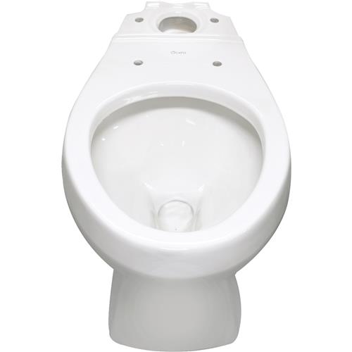 5004011100 Cato Terra ADA Elongated Toilet Bowl bowl toilet