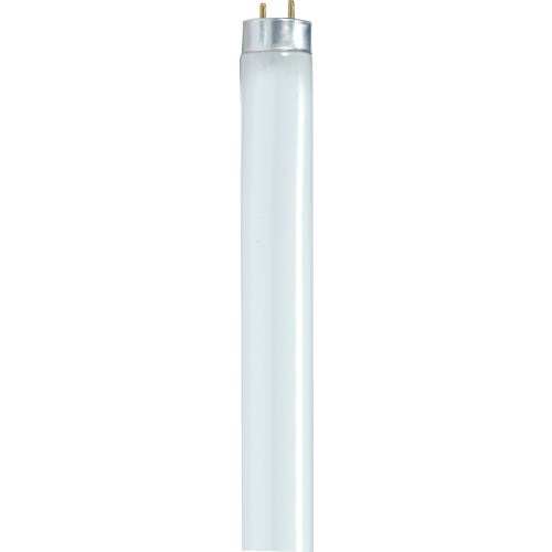 S8418 Satco T8 Medium Bi-Pin Fluorescent Tube Light Bulb