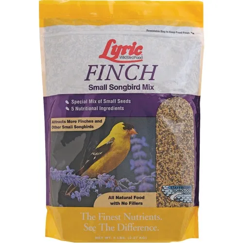 2647404 Lyric Finch Small Songbird Wild Bird Seed 2647404, bird, seed