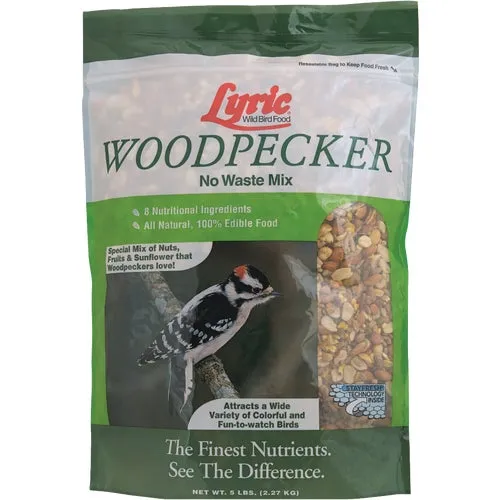 2647405 Lyric Woodpecker Wild Bird Seed 2647405, bird, seed
