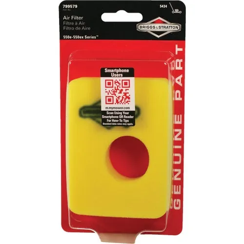 5434K Briggs & Stratton 799579 Foam Engine Air Filter