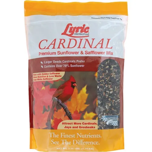 2619065 Lyric Cardinal Wild Bird Seed 2619065, bird, seed