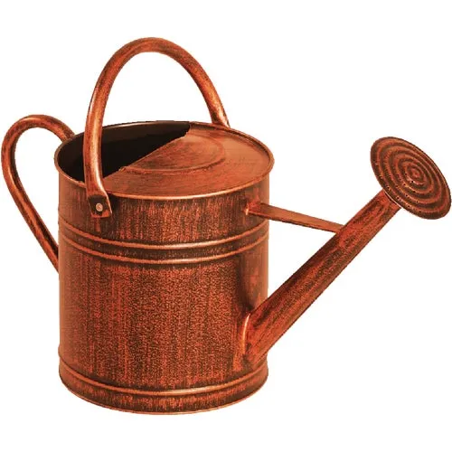 84872 Panacea Brushed Bronze Watering Can