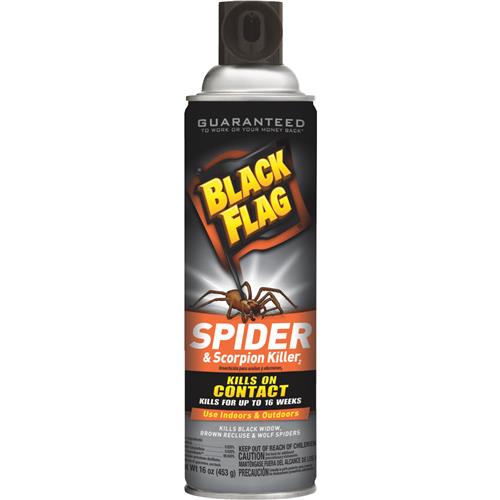 HG-11027 Black Flag Spider & Scorpion Killer
