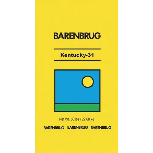 25414 Barenbrug Coated Kentucky 31 Tall Fescue Grass Seed 25414, grass, seed