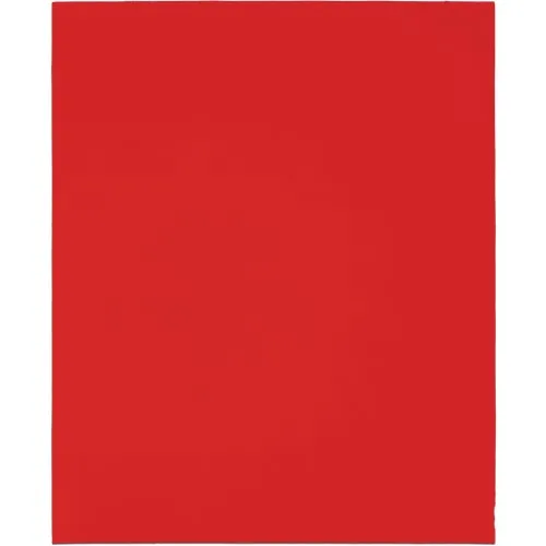 DCS911150S20G Diablo 9 In. x 11 In. Sandpaper
