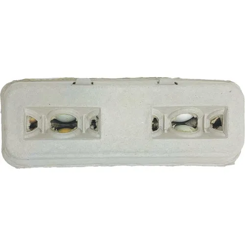 PP212 Strombergs Blank Egg Carton